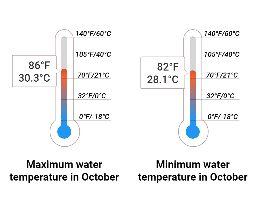 Average Sea temperature